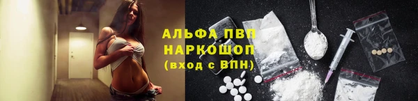 молекула духа Новозыбков