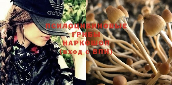 мет Нягань